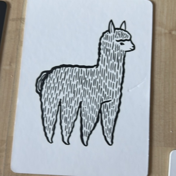 6 Art Cards for Baby Animal Collection | Contrast Cards | Developmental EUC - Picture 5 of 9